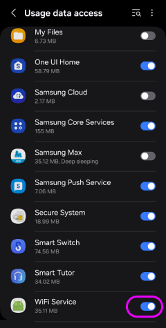 Enable WiFi Service Usage data access